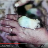 Screenshot aus dem Youtube-Video. Zum Ansehen klicken Sie bitte den Link unter dem Text links.