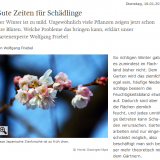 Sächsische Zeitung