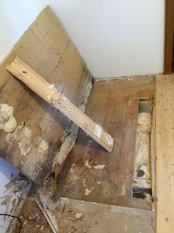 Chemische Behandlungen - Hausschwamm