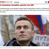 spon-bettwanzen-oder-vergiftung