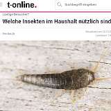 Screenshot von t-online.de des Beitrages - Welche Insekten im Haushalt nützlich sind -