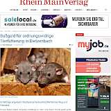 2025-02-26 Screenshot des Beitrages_Bußgeld für ordnungswidrige Tierfütterung in Dietzenbach - Rhein Main Verlag