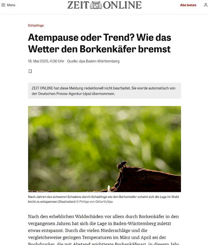 2025-05-23 Screenshot von zeit.de des Beitrags _ Atempause oder Trend_ Wie das Wetter den Borkenkäfer bremst