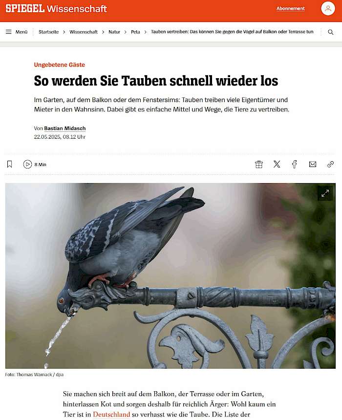 2025-05-23 Screenshot von spiegel.de des Beitrag - Tauben vertreiben_ Das können Sie gegen die Vögel auf Balkon oder Terrasse tun