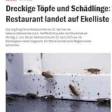 2025-06-03 Screenshot von ka-news.de des Beitrags - Dreckige Töpfe und Schädlinge
