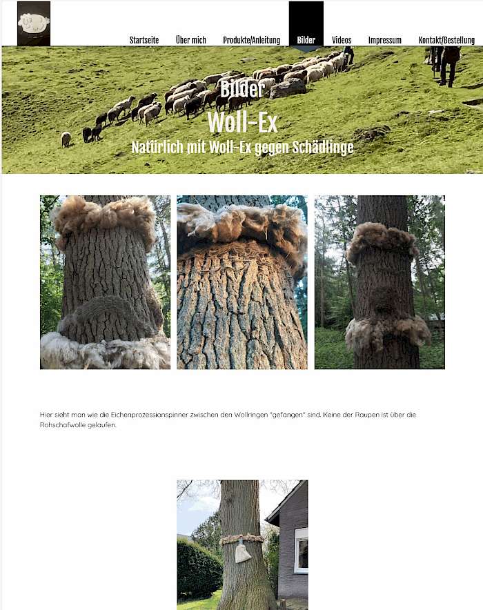 Screenshot von woll-ex.de