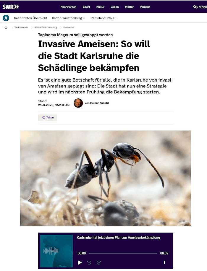 2025-09-18 Screenshot von swr.de des Beitrags - Invasive Ameisen: So will die Stadt Karlsruhe die Schädlinge bekämpfen