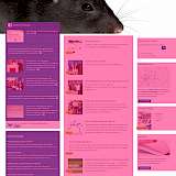 Frontend: klare Struktur